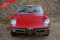 Alfa Romeo Spider PRICE REDUCTION! 1600 Duetto Fantastic condition, Rood - thumbnail 5