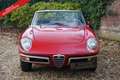 Alfa Romeo Spider PRICE REDUCTION! 1600 Duetto Fantastic condition, Rood - thumbnail 20