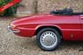 Alfa Romeo Spider PRICE REDUCTION! 1600 Duetto Fantastic condition, Rood - thumbnail 15