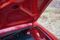 Alfa Romeo Spider PRICE REDUCTION! 1600 Duetto Fantastic condition, Rouge - thumbnail 21