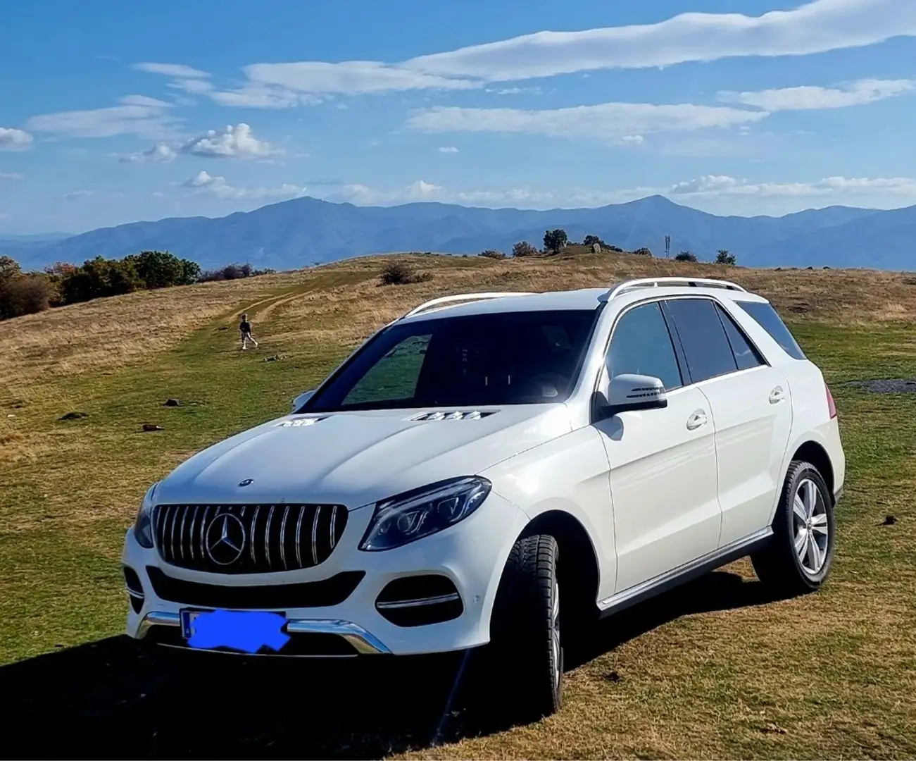 Mercedes-Benz GLE 250 d 4Matic Aut. - 1