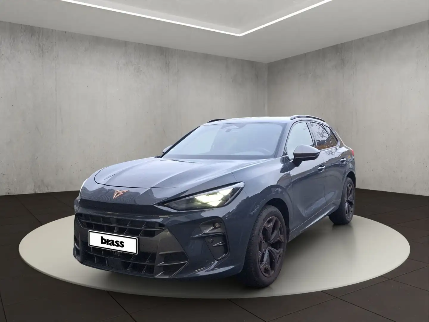 CUPRA Terramar . Blau - 1