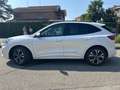 Ford Kuga ST Line 2.0 EcoBlue mHEV Blanco - thumbnail 8