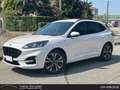 Ford Kuga ST Line 2.0 EcoBlue mHEV Blanco - thumbnail 1