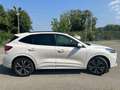 Ford Kuga ST Line 2.0 EcoBlue mHEV Blanco - thumbnail 4