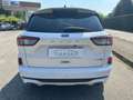 Ford Kuga ST Line 2.0 EcoBlue mHEV Blanco - thumbnail 6