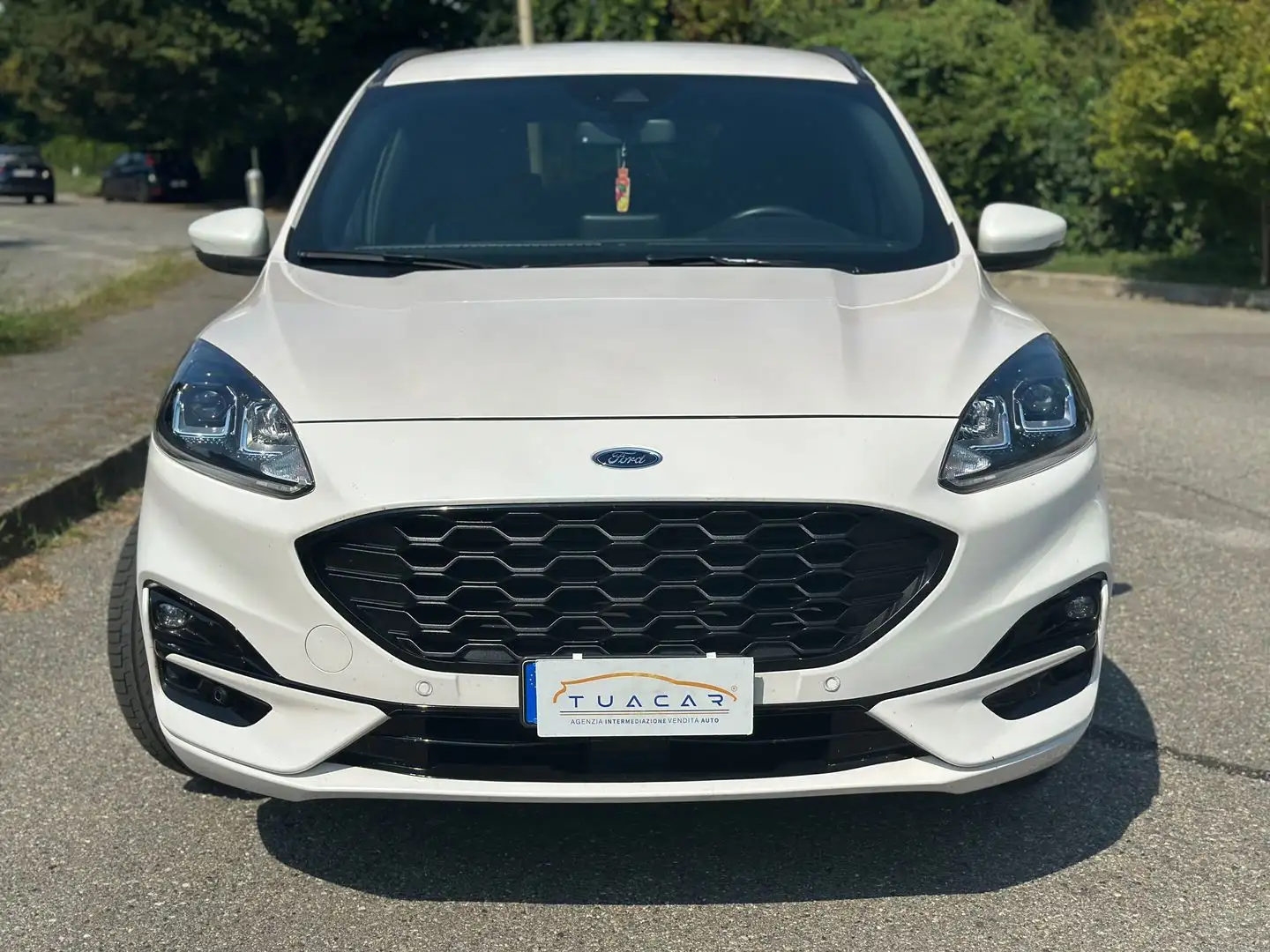 Ford Kuga ST Line 2.0 EcoBlue mHEV Blanco - 2