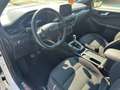 Ford Kuga ST Line 2.0 EcoBlue mHEV Blanco - thumbnail 9