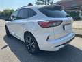 Ford Kuga ST Line 2.0 EcoBlue mHEV Blanco - thumbnail 7