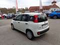 Fiat Panda 4x2 FireFly Hybrid 70 Blanc - thumbnail 6