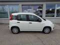 Fiat Panda 4x2 FireFly Hybrid 70 Blanc - thumbnail 3