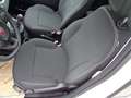 Fiat Panda 4x2 FireFly Hybrid 70 Blanc - thumbnail 11