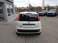 Fiat Panda 4x2 FireFly Hybrid 70 Blanc - thumbnail 5