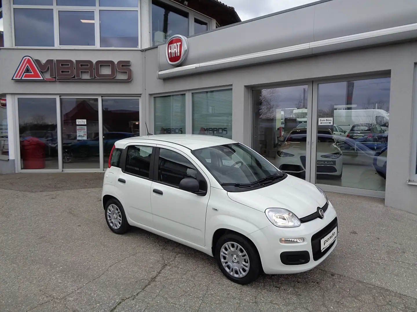 Fiat Panda 4x2 FireFly Hybrid 70 Blanc - 2