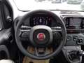 Fiat Panda 4x2 FireFly Hybrid 70 Blanc - thumbnail 14