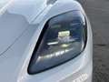 Porsche Panamera 4 PDK !kein Hybrid! Weiß - thumbnail 3