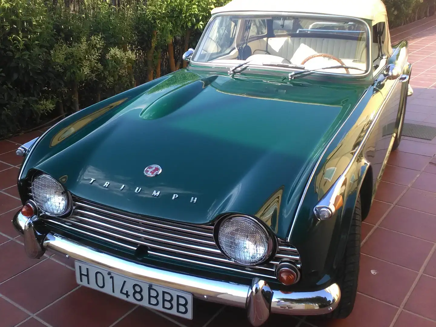 Triumph TR4 TR4A IRS Verde - 1