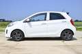 Kia Picanto 1.2 CVVT First Ed. Navigatie Blanc - thumbnail 7