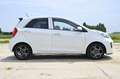 Kia Picanto 1.2 CVVT First Ed. Navigatie Blanc - thumbnail 15