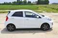 Kia Picanto 1.2 CVVT First Ed. Navigatie Blanc - thumbnail 16