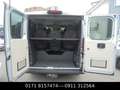 Fiat Ducato Luxusbus Panorama 30 140 L1H1 RS: 3000 mm Grau - thumbnail 10