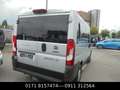 Fiat Ducato Luxusbus Panorama 30 140 L1H1 RS: 3000 mm Grau - thumbnail 2