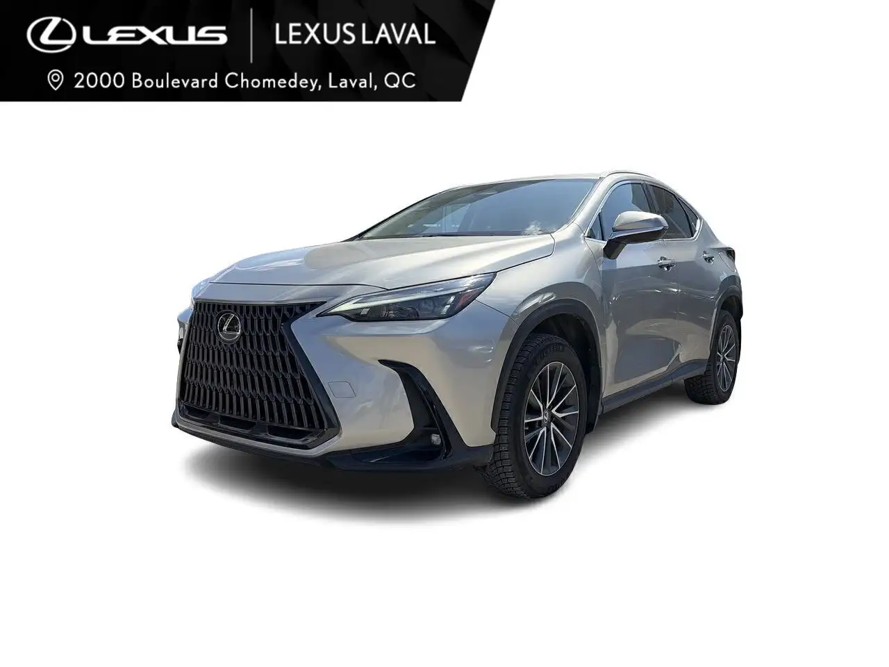 2023 Lexus NX