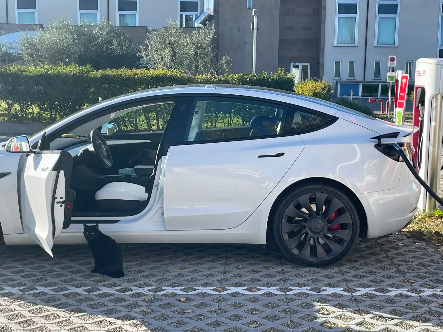 Tesla Model 3 Model 3 Performance Dual Motor awd Bianco - 1