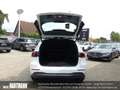 Mercedes-Benz B 180 BUSINESS+MBUX+NAVI+PARKTRONIC+EASYPACK+LED Bianco - thumbnail 12