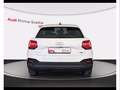 Audi Q2 30 2.0 tdi admired Bianco - thumbnail 5