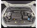 Audi Q2 30 2.0 tdi admired Bianco - thumbnail 10