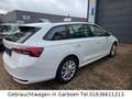 Skoda Octavia Combi 2.0 TDI Selection FACELIFT Kamera AppleCar Weiß - thumbnail 6