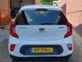 Kia Picanto Picanto 1.0 CVVT Design Edition Wit - thumbnail 5