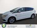 Ford S-Max 1.5 EcoBoost Business Blanc - thumbnail 1
