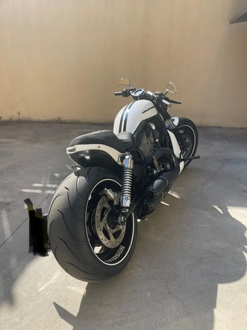 Harley-Davidson VRSC V-Rod screamin eagle Custom Bianco - 1