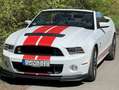 Ford Mustang Shelby GT500 SVT Cabriolet Weiß - thumbnail 1