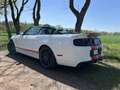 Ford Mustang Shelby GT500 SVT Cabriolet Weiß - thumbnail 11