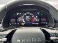 Skoda Kamiq 1.0 TSI DSG Selection LED+ACC+Kamera+App+C Blau - thumbnail 10