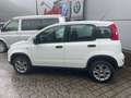 Fiat Panda NEOPATENTAI SI 4x4 Benzina Bianco - thumbnail 4