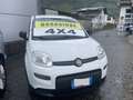 Fiat Panda NEOPATENTAI SI 4x4 Benzina Bianco - thumbnail 5