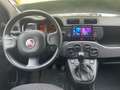 Fiat Panda NEOPATENTAI SI 4x4 Benzina Bianco - thumbnail 2