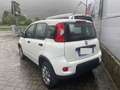 Fiat Panda NEOPATENTAI SI 4x4 Benzina Bianco - thumbnail 6
