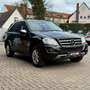 Mercedes-Benz ML 350 CDI Xenon AHK Navi Sitzhzg Tüv Neu Schwarz - thumbnail 5