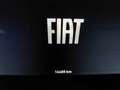 Fiat Panda Panda Cross 1.0 FireFly S&S Hybrid Verde - thumbnail 12