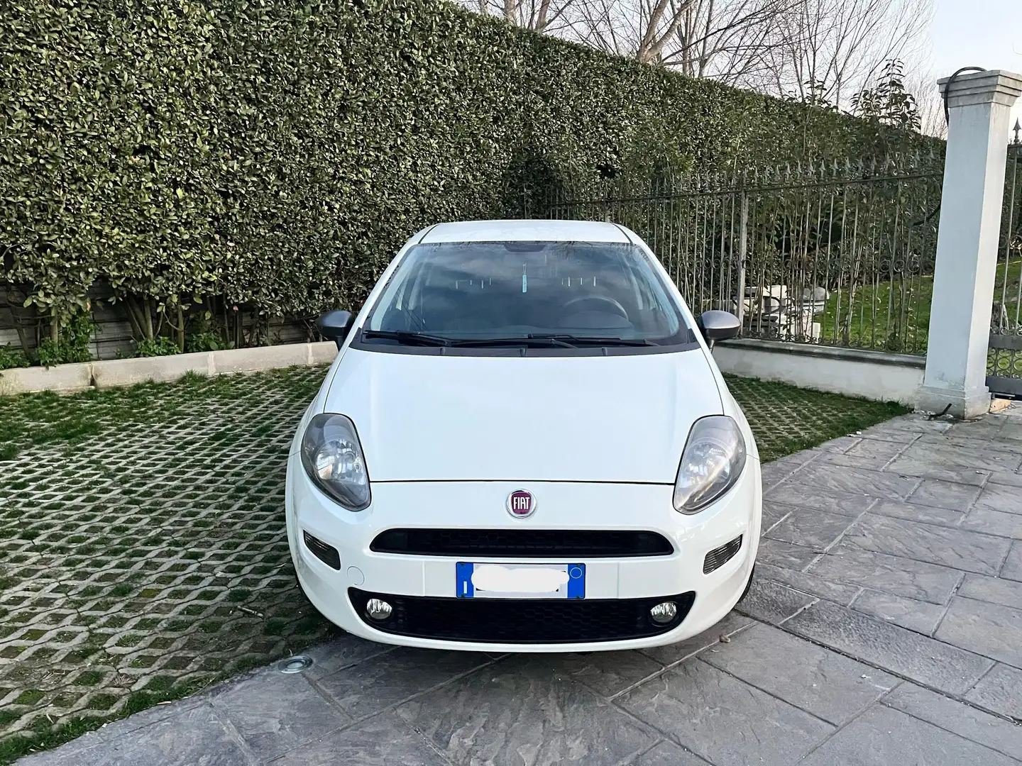 Fiat Punto 1.4 Easypower GPL Young - NEOPAT. Bianco - 2