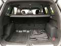 Ford Kuga 745 Kuga 1.5 EcoBoost Automatik 4x4 ST-Line Grijs - thumbnail 14