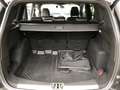 Ford Kuga 745 Kuga 1.5 EcoBoost Automatik 4x4 ST-Line Grijs - thumbnail 13