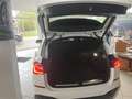 BMW X1 20xd M-Sport/Harman-Kardon/Apple/DAB/ACC Weiß - thumbnail 11
