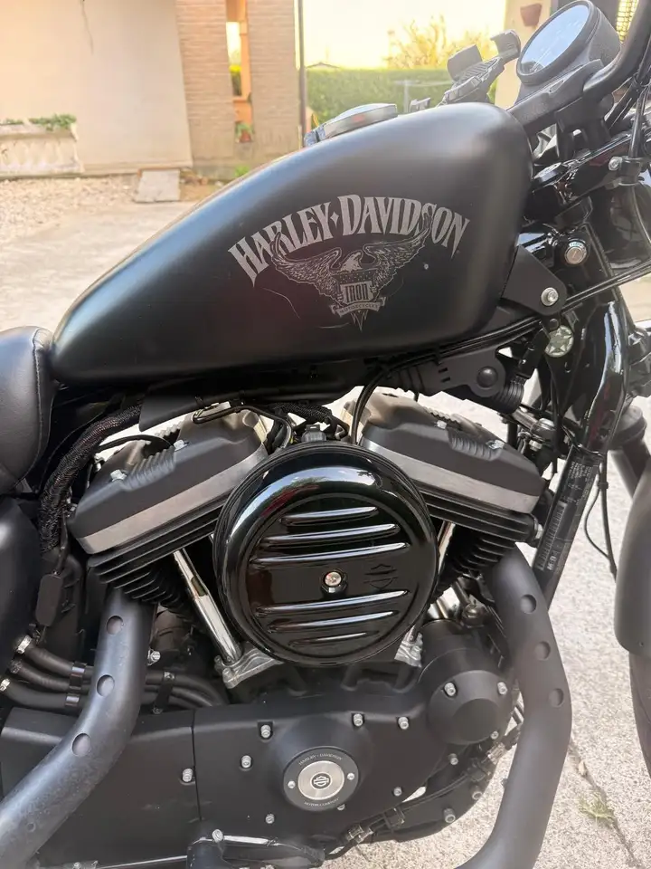 Harley-Davidson Iron 883