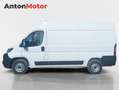 Opel Movano FURGON 3.3T L2H2 2.2 BHDI 120CV S&S MT6 Blanco - thumbnail 4